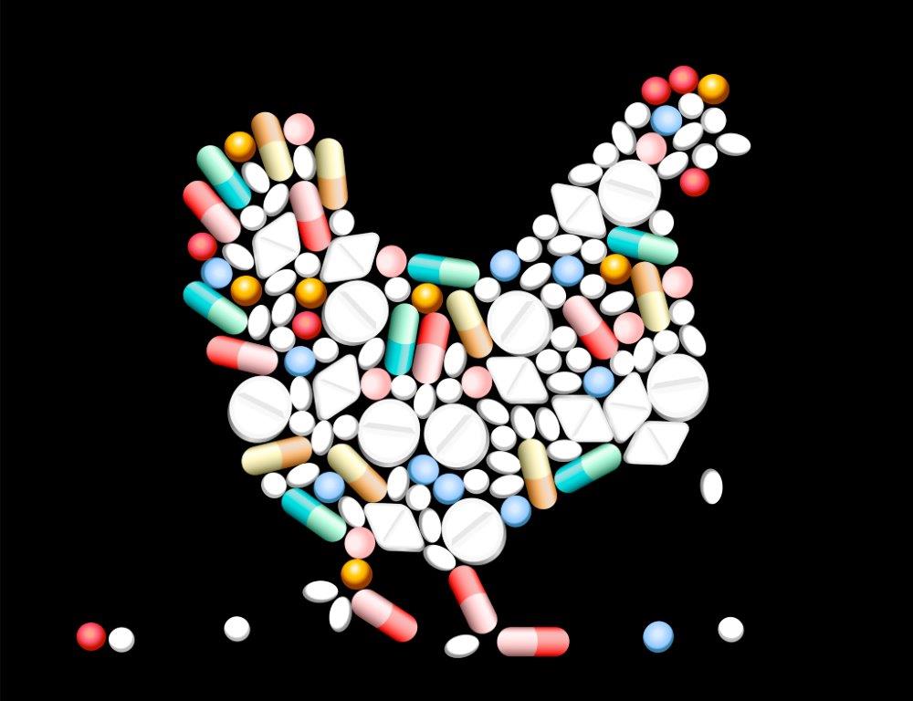 UK poultry antibiotic data disclosure puts the squeeze on wider