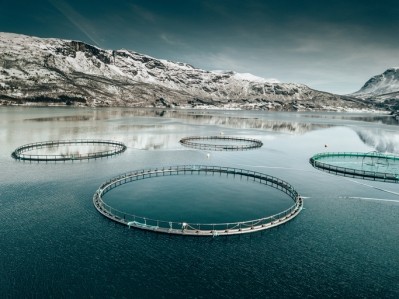 'A more circular use of phosphorus could simultaneously reduce supply and pollution risks. This is particularly relevant in Norway, where the government has an ambition to increase salmon and trout production from currently 1.5m to 5m tons by 2050.'  © GettyImages/franckreporter