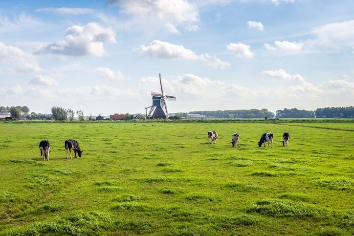 Report criticizes Dutch authorities over risky emissions
